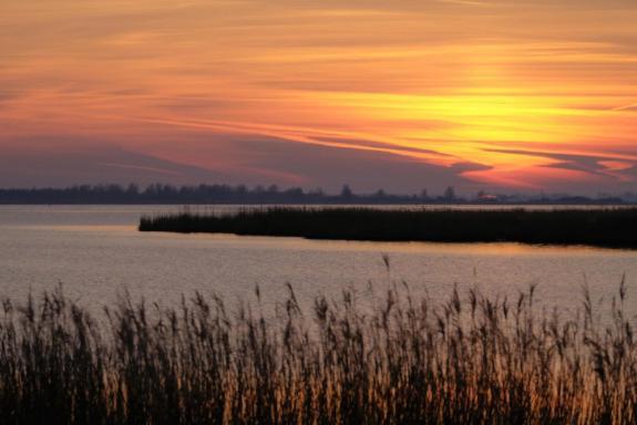 Enjoy Meer Und See Ferienhaus -In Lauwersoog- 1-6 Pers- 3 Schlafzimmer- Fruehes Einchecken Ab 14 Uhr エクステリア 写真