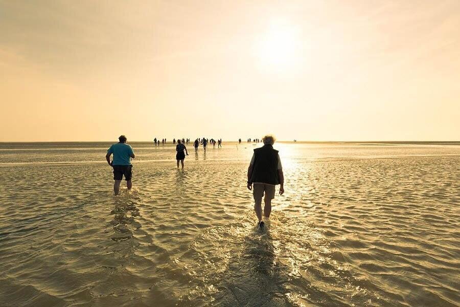 Enjoy Meer Und See Ferienhaus -In Lauwersoog- 1-6 Pers- 3 Schlafzimmer- Fruehes Einchecken Ab 14 Uhr エクステリア 写真